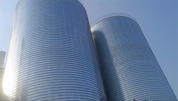 黑龙江2座混凝土高架卷板仓